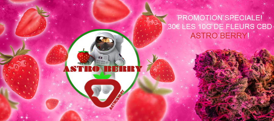 promo astro berry