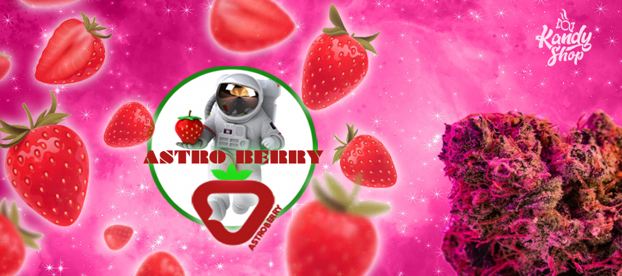 promo astro berry