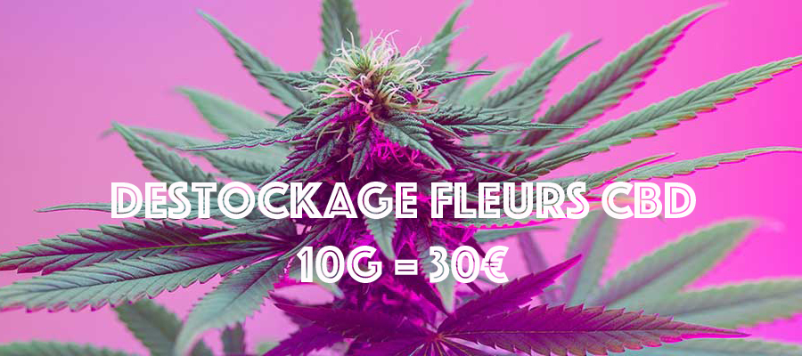 destock fleurs